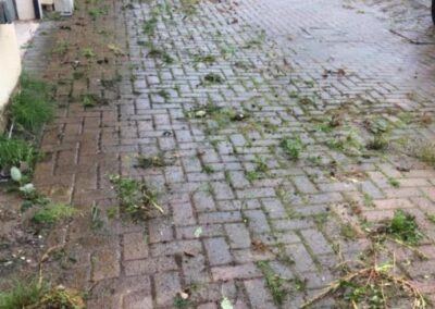 benchmark property services 28