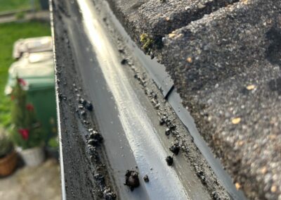 benchmark property services 41